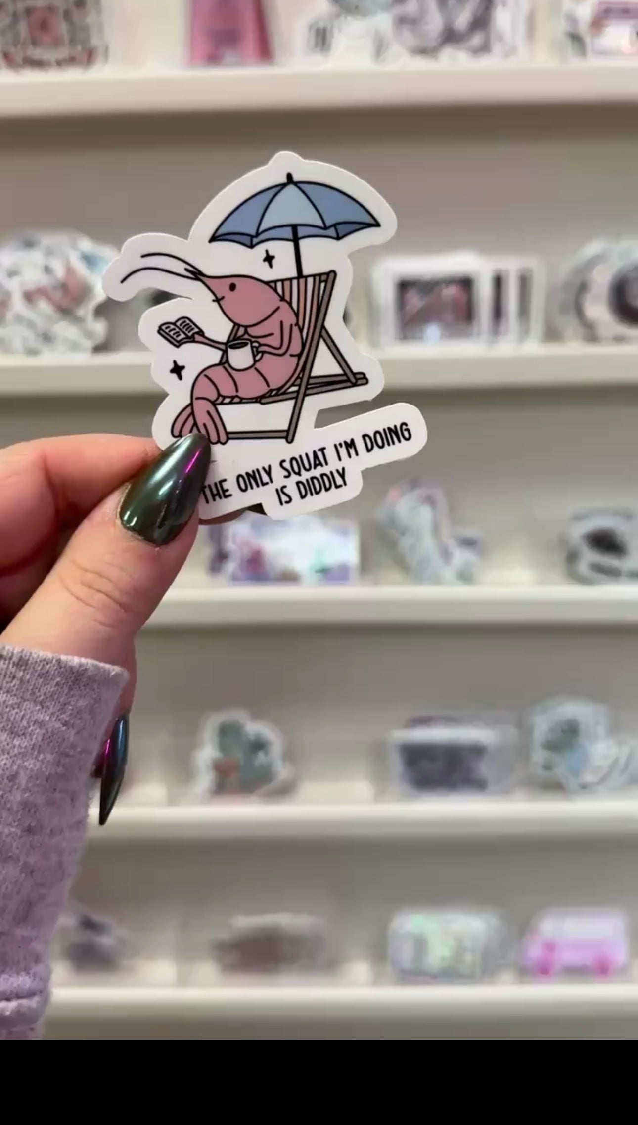 The Only Squat I'm Doing Is Diddly Sticker