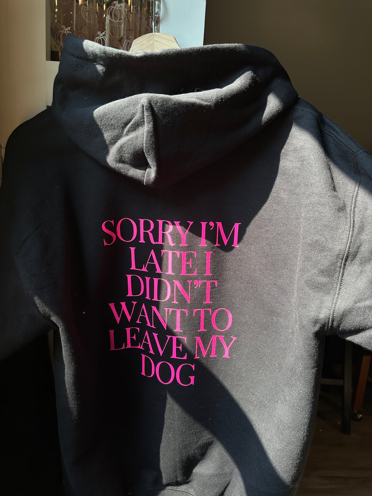 Sorry, But Dogs Hoodie