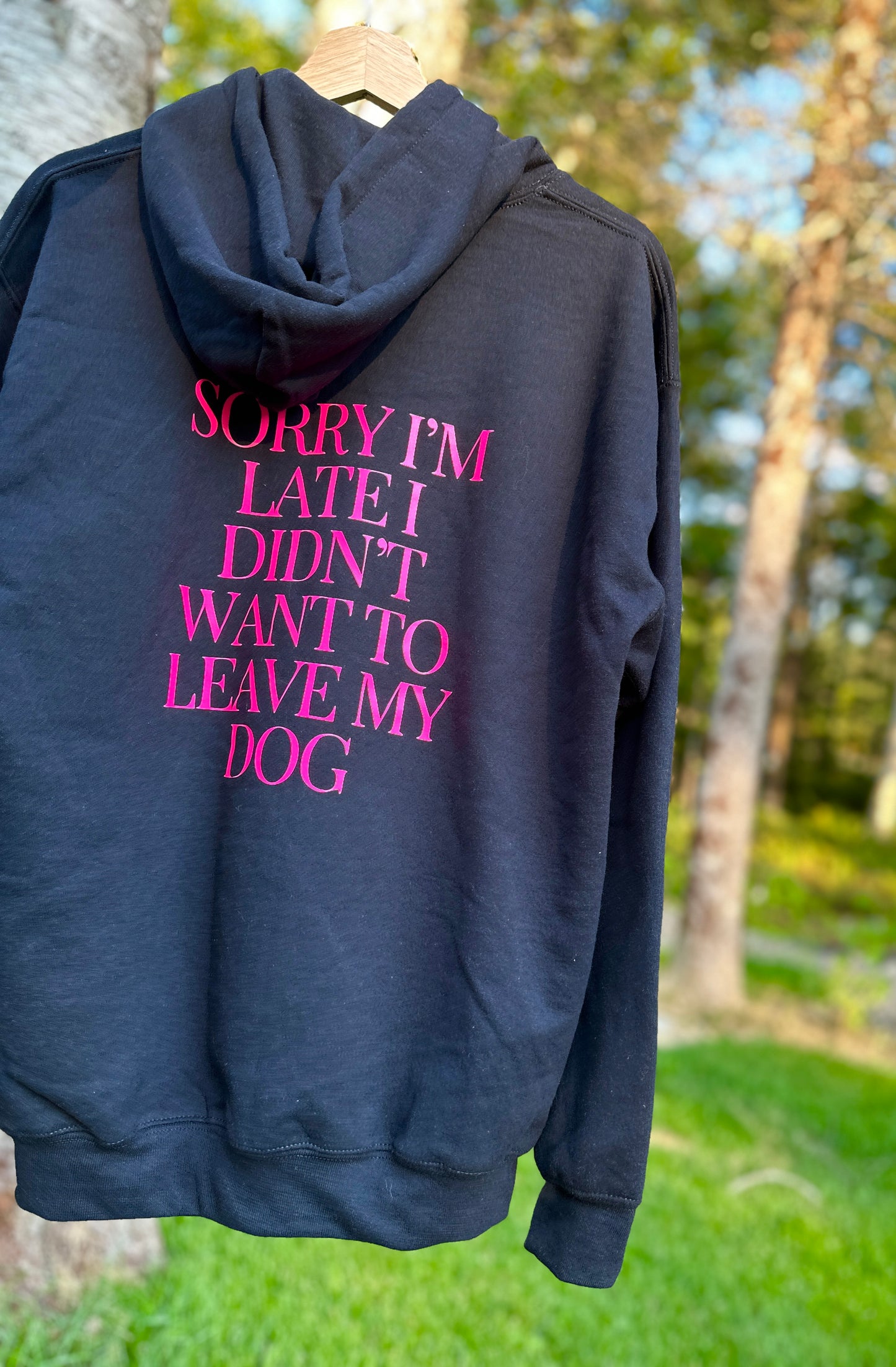 Sorry, But Dogs Hoodie